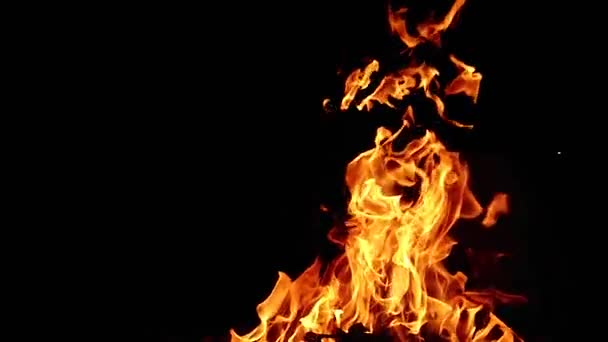 Beautiful, large, tall, bright, hot bonfire, flame in super slow motion, increased 960 frame rate — Stock Video