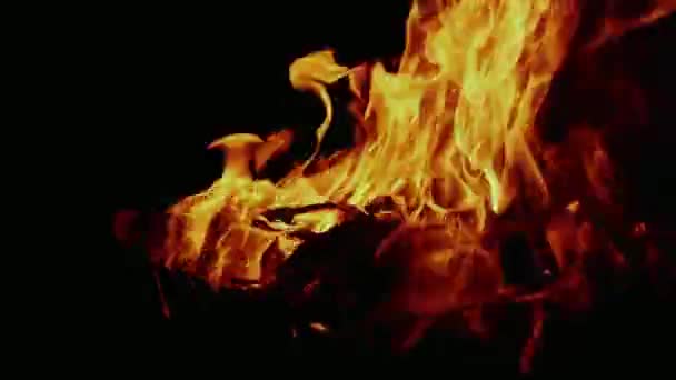 Όμορφη, φωτεινή, ζεστή φωτιά, φλόγα αυξημένη 960 frame rate — Αρχείο Βίντεο