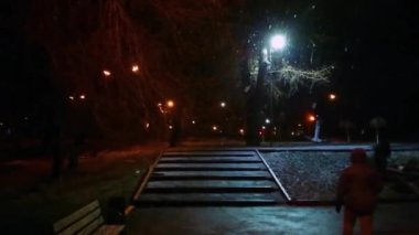 İnsanlar köpekleri kış mevsiminde şehir parkında yürüyüşe çıkarırlar.