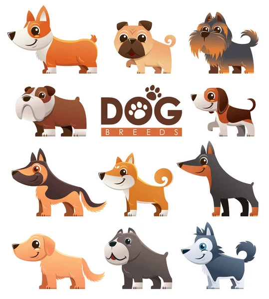 Ilustração Vetorial Conjunto Raças Cães Desenhos Animados — Vetor de Stock