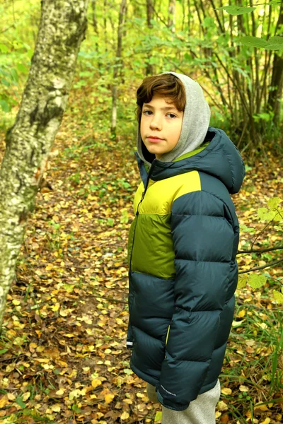 Preteen boy close up portrait in the autumn forest — Stock Photo, Image