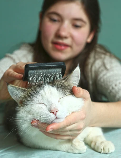 Девушка-подросток чистит кошку — стоковое фото