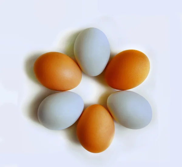 Kahverengi ve beyaz yumurta yaratıcı fotoğraf — Stok fotoğraf