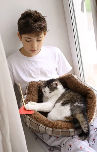 Мальчик-подросток с котом в постели играет крупным планом фото — стоковое фото