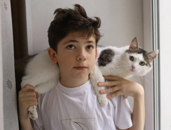 Adolescente chico con gato en sus hombros de cerca foto —  Fotos de Stock