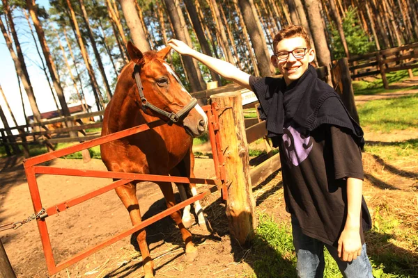 Horse with teenager boy in summer horse park — Stock Photo, Image