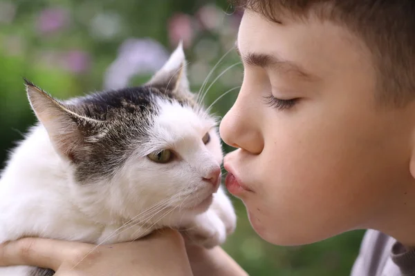 Gelukkige jongen houdt kat glimlachend close-up foto — Stockfoto