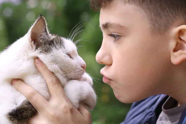 Gelukkige jongen houdt kat glimlachend close-up foto — Stockfoto