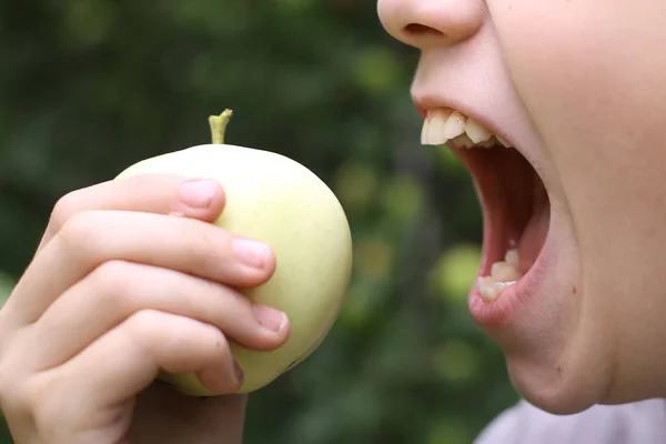Mond beet apple close-up foto in groene tuin — Stockfoto