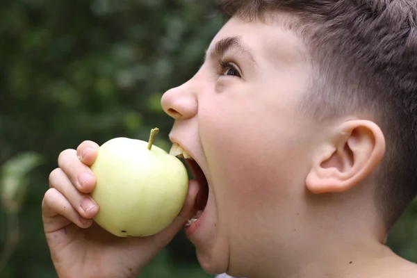 Tiener jongen beet appel in de groene zomertuin — Stockfoto