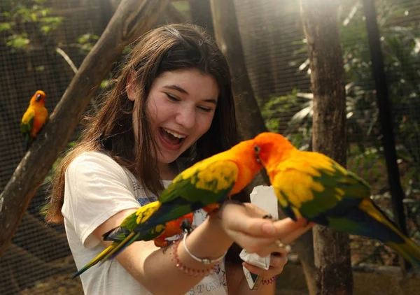 Teenager girl in asian zoo feeding ara parrots — Stock Photo, Image