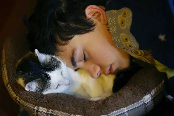 少年男孩与猫睡在猫坏的近照 — 图库照片