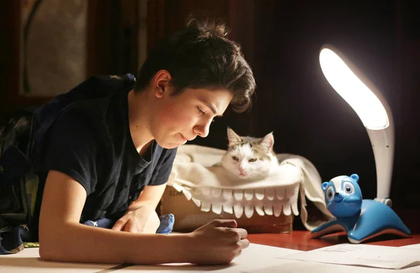 Genç Çocuk Mimar Gece Yarısı Taslak Projesinde Çalışıyor Yanında Kedi — Stok fotoğraf