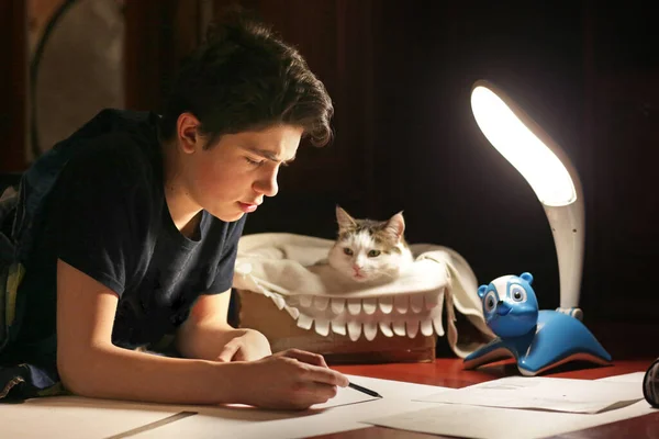 Adolescente Menino Arquiteto Estudante Trabalhando Projeto Elaboração Noite Com Gato Imagem De Stock