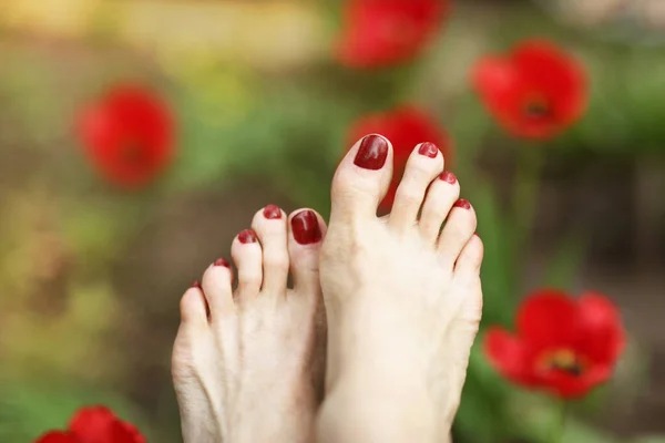 Kvinna Fötter Med Röd Pedikyr Sommaren Grönt Gräs Med Tulpaner — Stockfoto