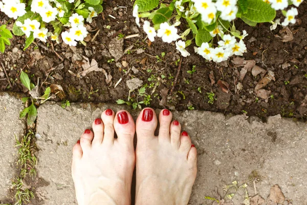 Yazın Kırmızı Pedikürlü Kadın Ayakları Çiçek Arkaplanlı Yeşil Çimenler Yakın — Stok fotoğraf