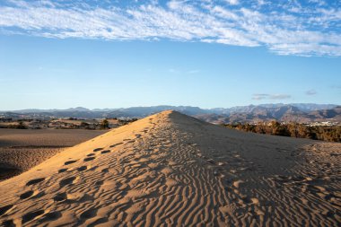 Sand dunes of Maspalomas nature reserve