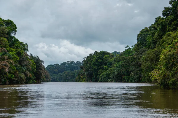 Viaje Barco Los Canales Tortuguero Costa Rica — Foto de Stock