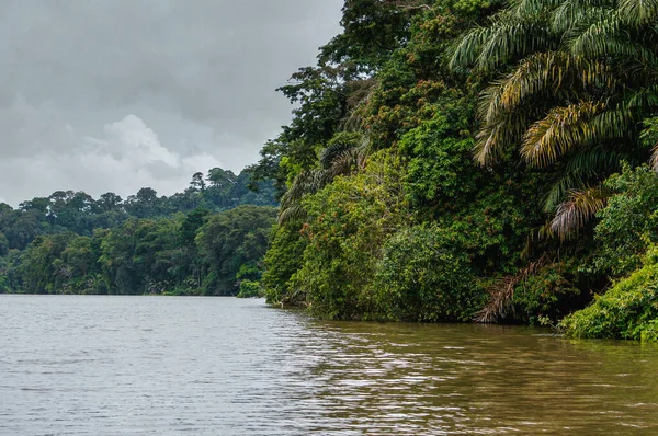 Viaje Barco Los Canales Tortuguero Costa Rica — Foto de Stock