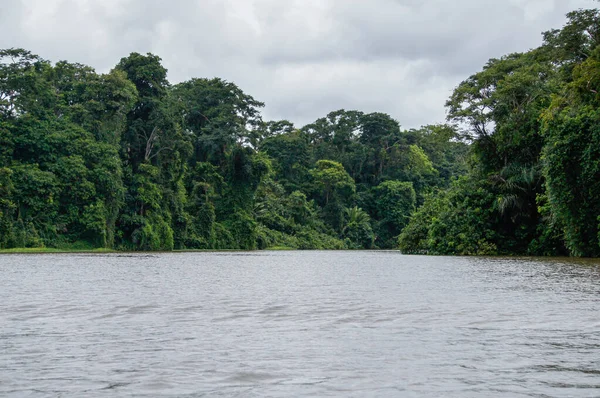 Viaje Barco Los Canales Tortuguero Costa Rica — Foto de Stock