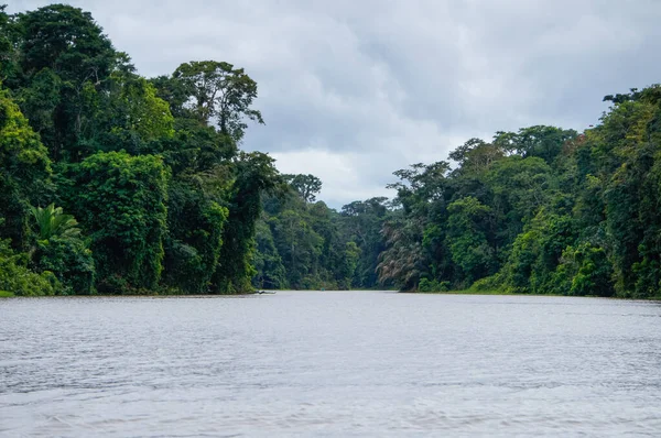 Viaje Barco Los Canales Tortuguero Costa Rica — Foto de Stock