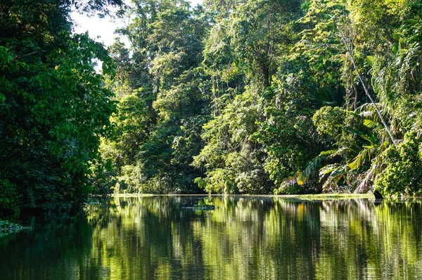 Viaje Barco Los Canales Tortuguero Costa Rica — Foto de Stock