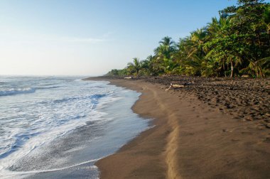 Tortuguero plajı, Kosta Rika 'nın Karayipler kıyısında gün doğumunda.