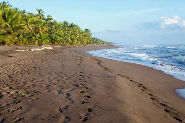 Playa Tortuguero Amanecer Costa Caribeña Costa Rica — Foto de Stock