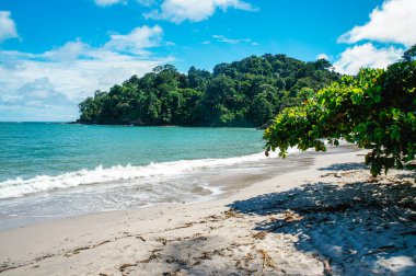 Kosta Rika 'da Manuel Antonio' nun Cennet Sahili