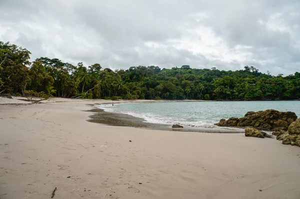 Kosta Rika 'da Manuel Antonio' nun Cennet Sahili