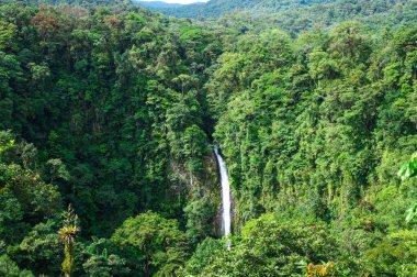 Alajuela, Kosta Rika 'da La Fortuna Şelalesi
