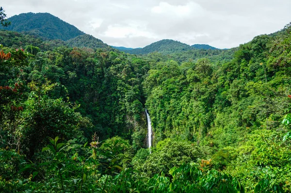 Водоспад Фортуна Алахуела Коста Рика — стокове фото