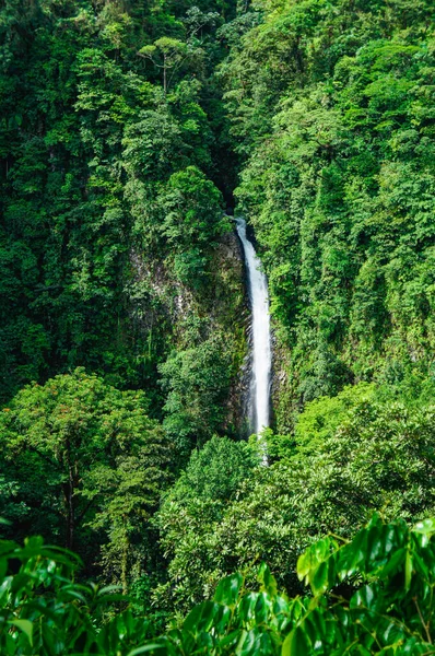 Cascada Fortuna Alajuela Costa Rica — Foto de Stock