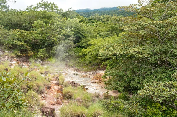 Barro Caliente Azufre Volcán Rincón Vieja Costa Rica — Foto de Stock