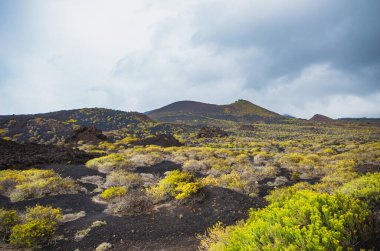 La Palma, Kanarya Adaları 'ndaki Volkan de San Antonio yanardağının eteklerindeki Malpalar (lav tarlaları)
