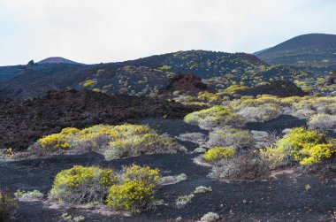 La Palma, Kanarya Adaları 'ndaki Volkan de San Antonio yanardağının eteklerindeki Malpalar (lav tarlaları)
