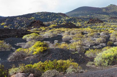 La Palma, Kanarya Adaları 'ndaki Volkan de San Antonio yanardağının eteklerindeki Malpalar (lav tarlaları)