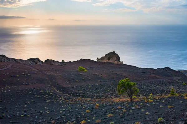 Palma Kanarya Adaları Nın Fuencaliente Bölgesinde Volkanik Manzara — Stok fotoğraf