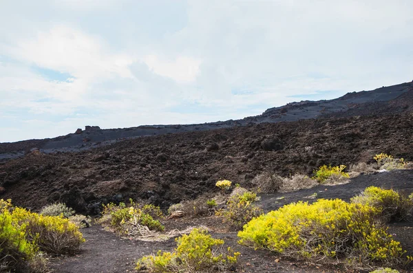 Malpas Lávamezők Táj Palma Vulkán Lábánál Kanári Szigetek — Stock Fotó