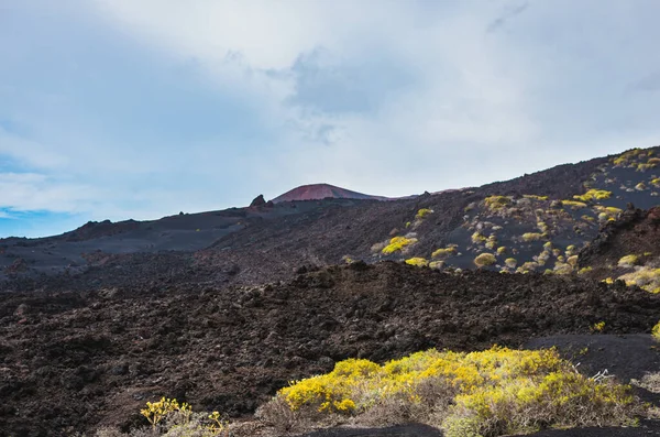 Malpas Campos Lava Paisagem Sopé Vulcão Volcan San Antonio Palma — Fotografia de Stock