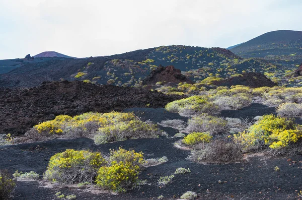 Malpas Campos Lava Paisagem Sopé Vulcão Volcan San Antonio Palma — Fotografia de Stock