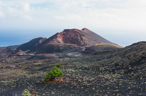 Volkan Tenegua Nın Volkan Manzarası Palma Kanarya Adaları — Stok fotoğraf