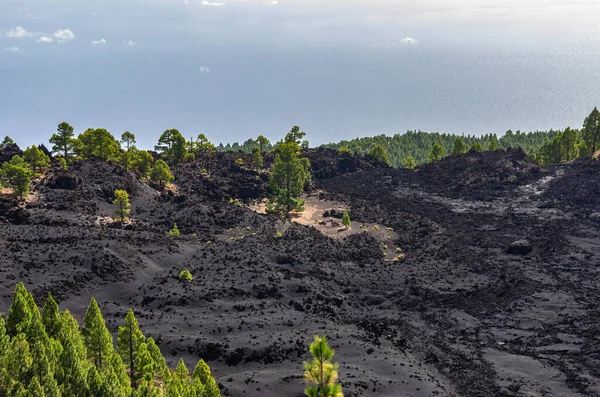 Lago Lava Rodeado Pinos Pie Del Volcán Duraznero Palma Islas —  Fotos de Stock