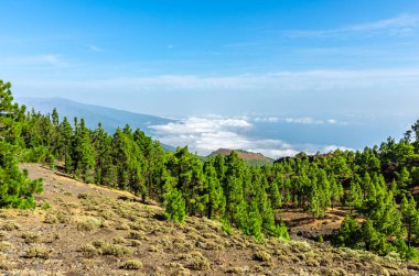 La Palma, Kanarya Adaları 'ndaki Ruta de los Volcanes zirvelerinden panoramik manzara