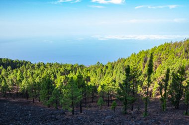 La Palma, Kanarya Adaları 'ndaki Ruta de los Volcanes zirvelerinden panoramik manzara