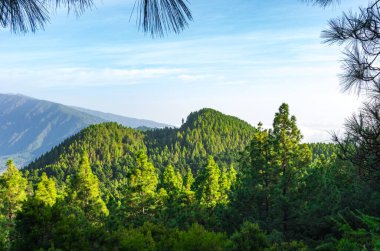 La Palma, Kanarya Adaları 'ndaki Ruta de los Volcanes zirvelerinden panoramik manzara
