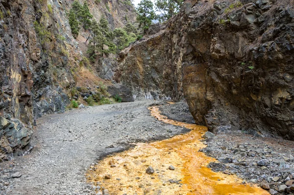La Palma, Kanarya Adaları 'ndaki Barranco de las Angustias' ta Los Colores Şelalesi. Bölgedeki mineraller suyu kızıla çeviriyor.