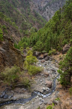 La Palma, Kanarya Adaları 'ndaki La Caldera de Taburiente' de Barranco de las Angustias geçidi.