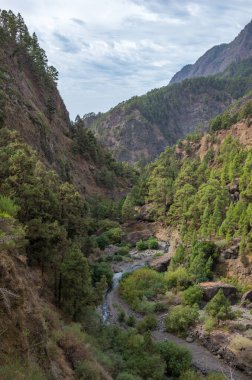 La Palma, Kanarya Adaları 'ndaki La Caldera de Taburiente' de Barranco de las Angustias geçidi.