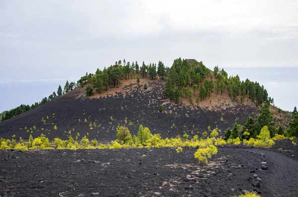 Vulkaan Martin Vulkaan Ruta Los Volcanes Route Palma Canarische Eilanden — Stockfoto